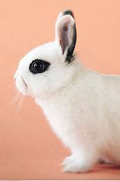 克苏鲁多人合作恐怖游戏《Eresys》宣传片